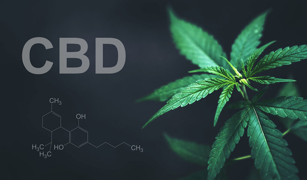 Les Bienfaits du CBD : Pourquoi Vous Devriez l'Intégrer à Votre Routine