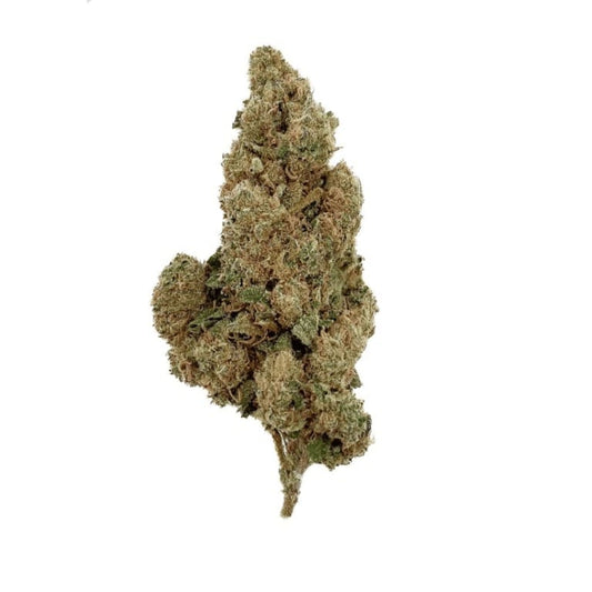 Fleurs de CBD Amnesia – 15,5% – Mélange de bourgeons – Livraison rapide